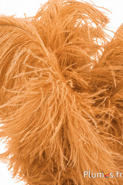 Struisvogel - 30-40 cm - cognac